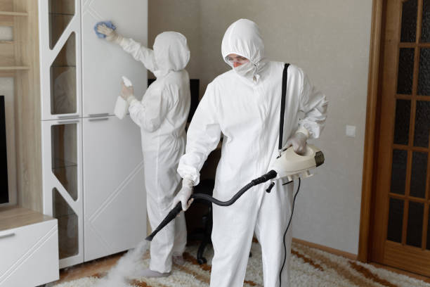 Best Home Mold Removal  in Burlington, ND